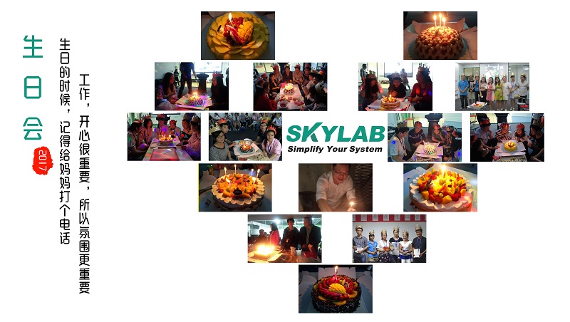 SKYLAB生日会